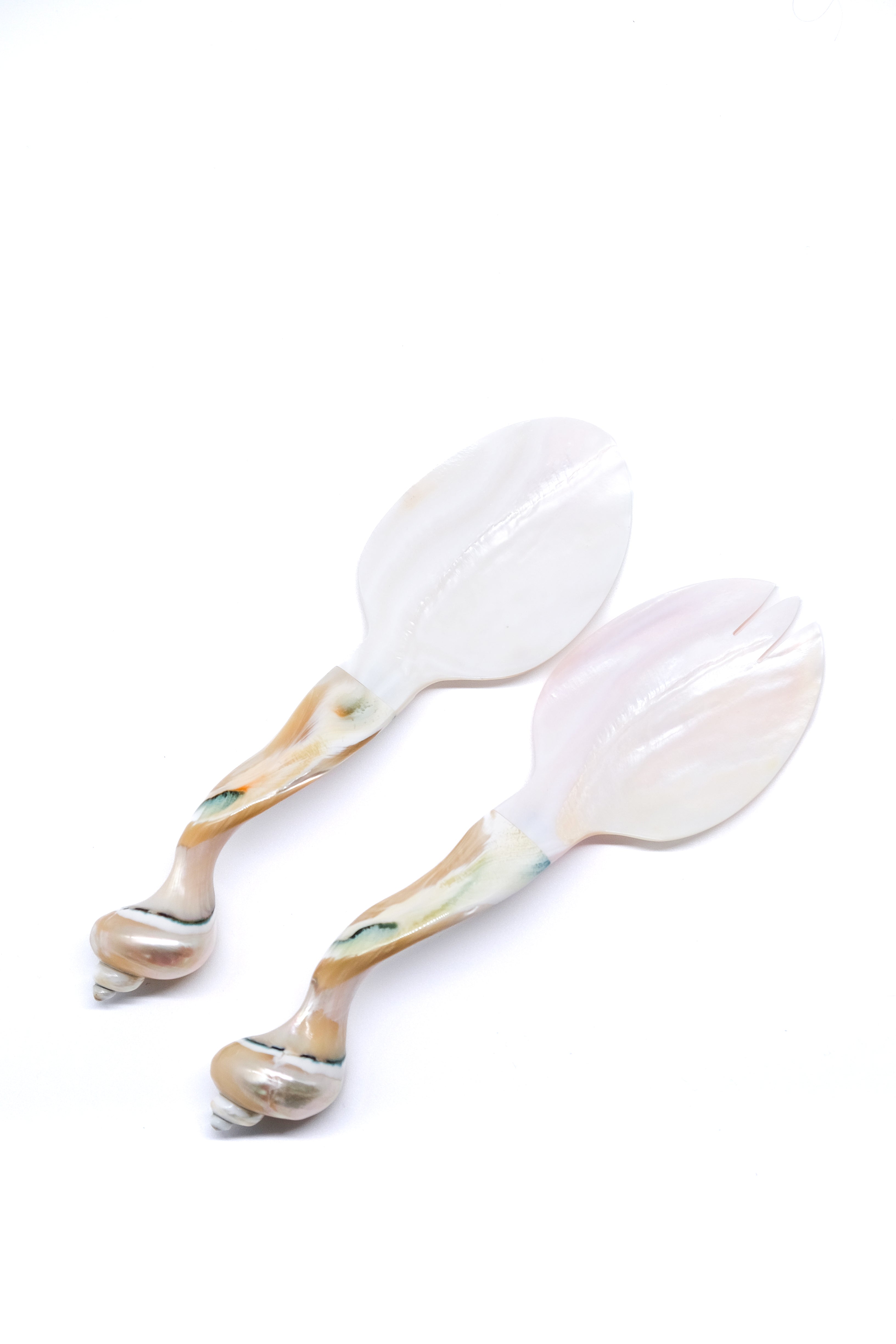 Seashell serving set in pearl white with natural shell patterns crossed on white surface