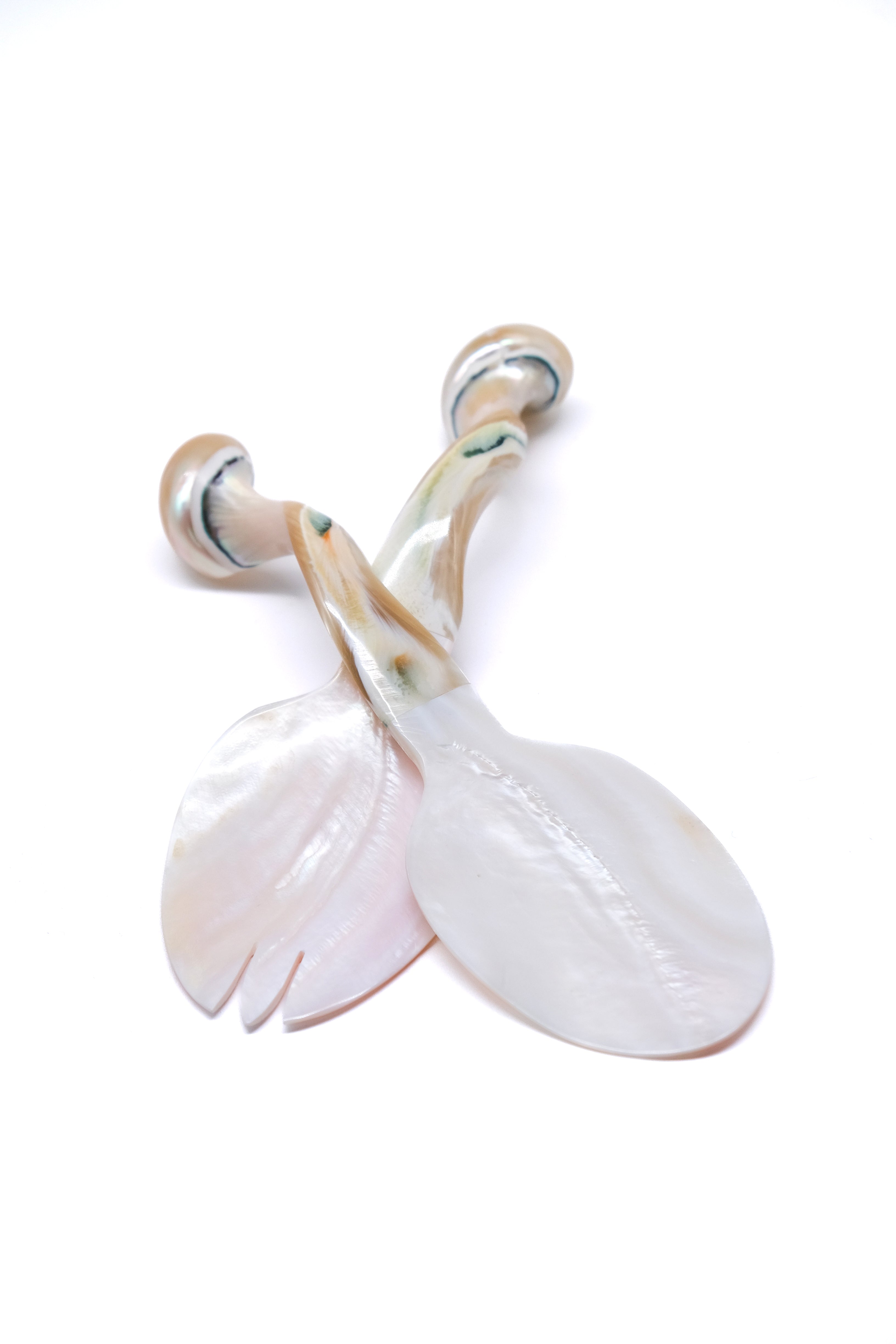 Close-up view of pearl white seashell serving set