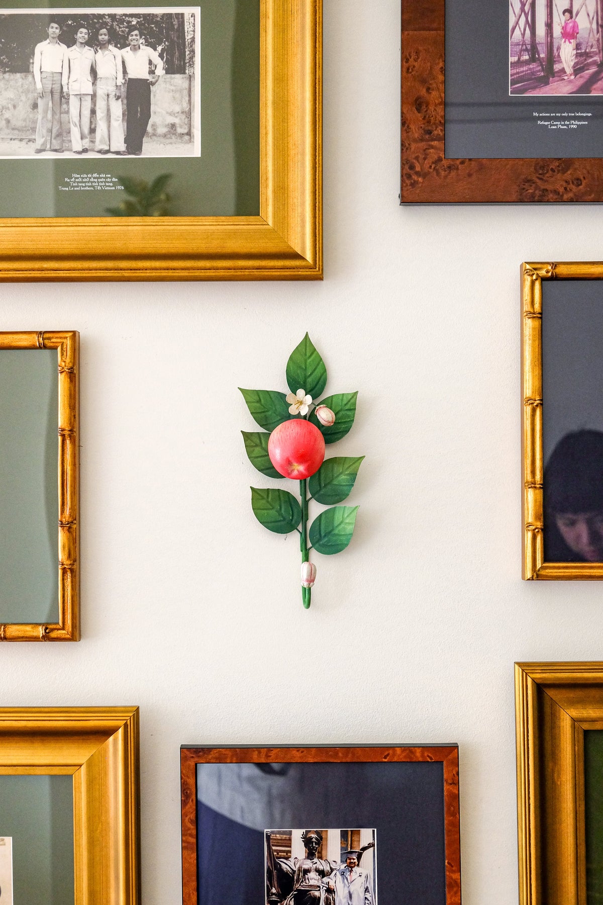 Wall Hooks