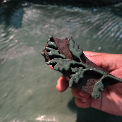 Natural dye process