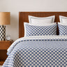 Blue Checkered Sujani Quilt